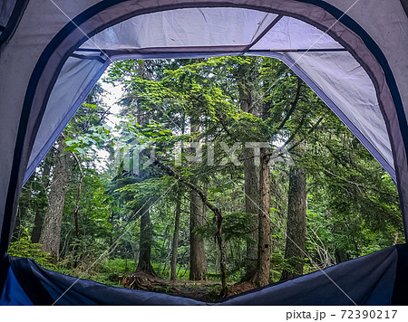 Campsite at Glacier National Park Campsite at Glacier National Park 72390217