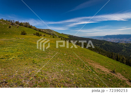 Heavens Gate Vista Heavens Gate Vista 72390253