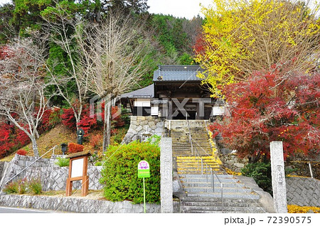 愛知県豊田市　小原の嶺雲寺山門と紅葉 72390575