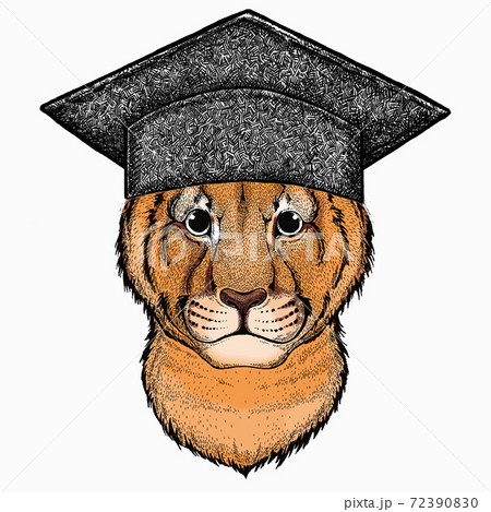 Download Vector portait of small baby lion head, face....のイラスト素材 ...