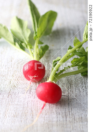 ラデッシュと赤かぶと大根 72390922