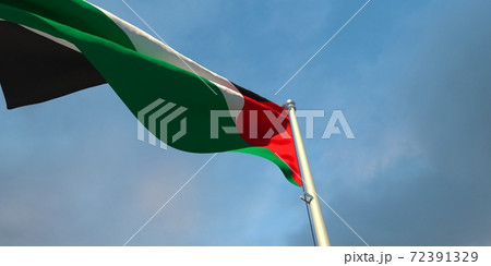 3d rendering of the national flag of the Palestine 72391329
