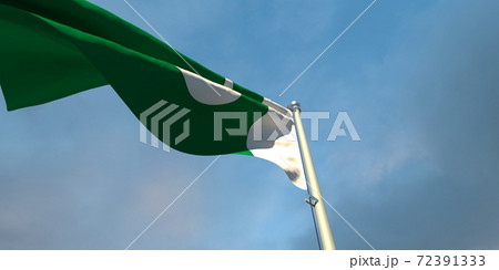 3d rendering of the national flag of the Pakistan 72391333