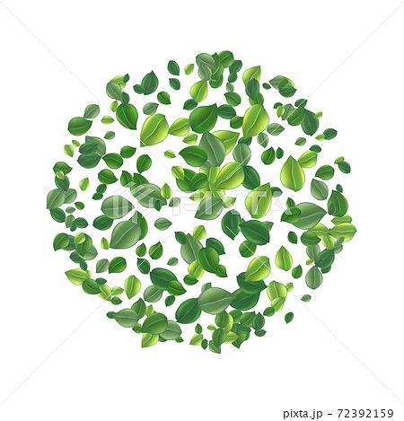 Round frame made of flying green tea leaf isolated on white. Leaves spring background. The Premium green tea for good health. Foliage nature plant for design, advertising, packaging products. Vector Round frame made of flying green tea leaf isolated on white. Leaves spring background. The Premium green tea for good health. Foliage nature plant for design, advertising, packaging products. Vector 72392159