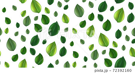 Seamless pattern beautiful flying green tea leaf isolated on white. Leaves spring background. Foliage nature plant for design, advertising, packaging products. Vector illustration Seamless pattern beautiful flying green tea leaf isolated on white. Leaves spring background. Foliage nature plant for design, advertising, packaging products. Vector illustration 72392160