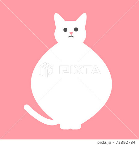 鏡餅のようなぽっちゃり白猫のイラスト Sitting white chubby cat