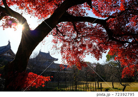 郡山城と紅葉 奈良県大和郡山市 の写真素材 72392795 Pixta