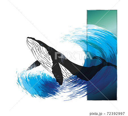 Whale vector illustration 72392997
