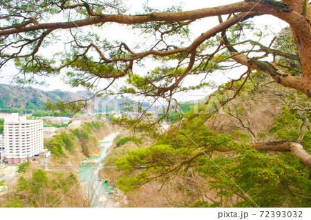 鬼怒楯岩大吊橋の景色 鬼怒楯岩大吊橋の景色 72393032