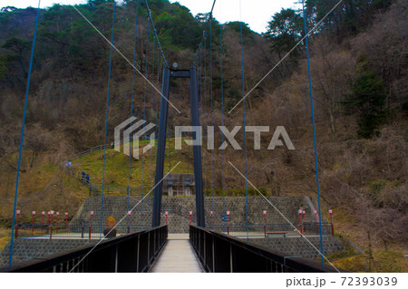 鬼怒楯岩大吊橋の景色 鬼怒楯岩大吊橋の景色 72393039
