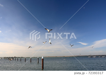 メキシコ　カンクンリゾート 72393317