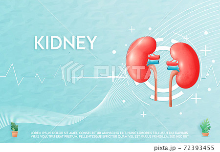 Human kidney and treatment watercolor style. A concept hospital for wallpaper and web. 72393455