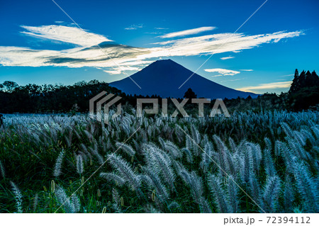 （静岡県）朝霧高原のチカラシバ　富士山　彩雲 72394112