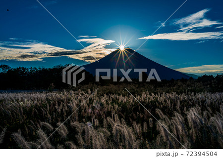 （静岡県）朝霧高原のチカラシバとダイヤモンド富士 72394504