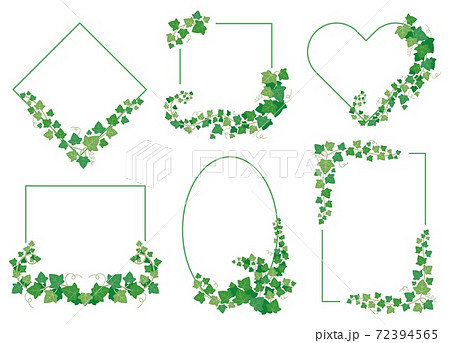 Ivy green leaves frames. Borders from evergreen plants of different shapes isolated on white background 72394565