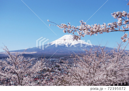 富士山にかかる桜 富士山にかかる桜 72395072