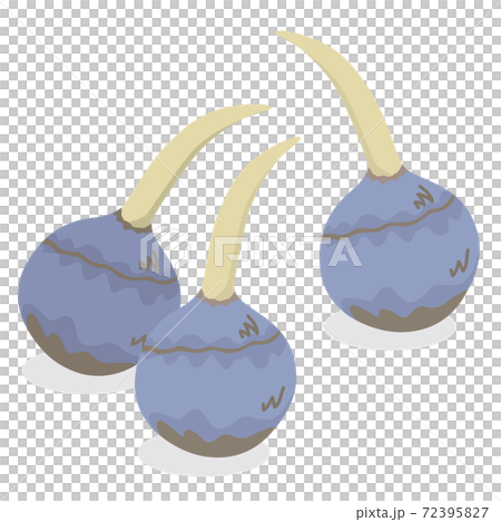 Vegetable illustration: Arrowhead Ingredients, cooking, materials 72395827