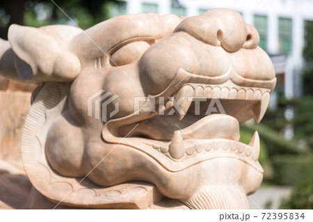 龍 竜 ドラゴン 72395834