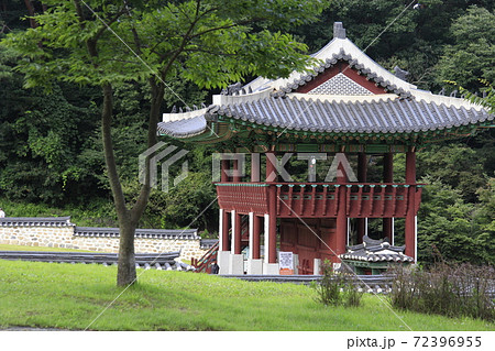 韓国 酸 木 72396955