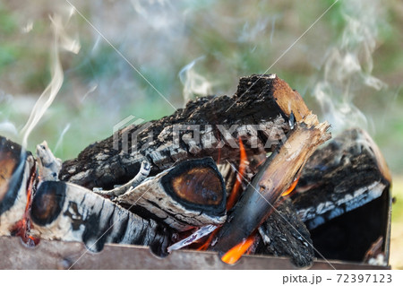 the hearth burn firewood and branches for coal 72397123