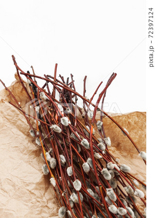 A bouquet of willow seals lies on old kraft paper, in retro style 72397124