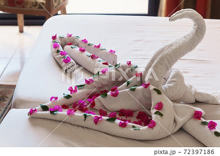 of white towels twisted swans and hearts 72397186