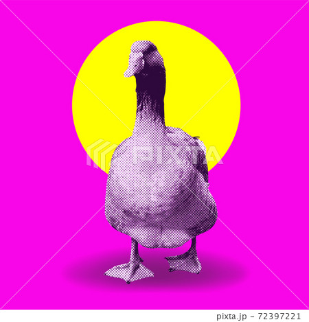 Collage goose on yellow circle background 72397221