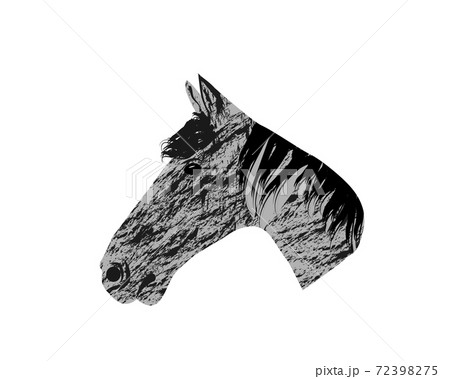 Hand sketch horse head. Beautiful arabian stallion sketch icon for horse breeding symbol, equestrian or riding club emblem design. Front view of a head of a purebred horse with alert ears 72398275
