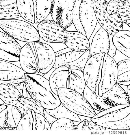 Seamless vector nuts pattern. Outline hand drawn illustration. Black and white food background. 72399618