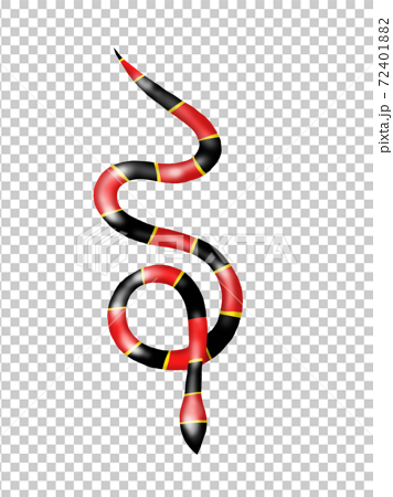 サンゴヘビのイラスト素材 72401882 Pixta