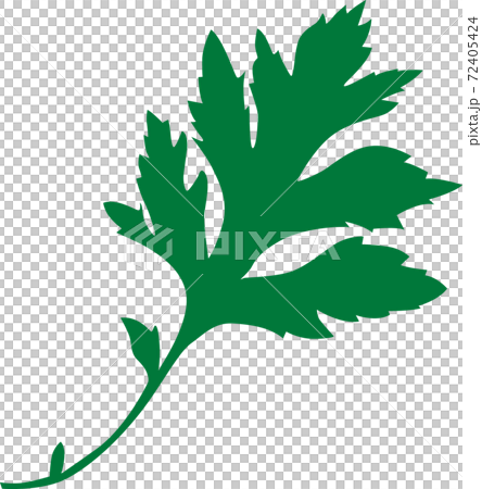 ふーちばー(ヨモギ) ふーちばー(ヨモギ) 72405424