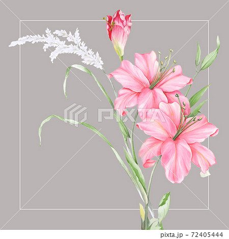 透明水彩 水彩画 花 72405444