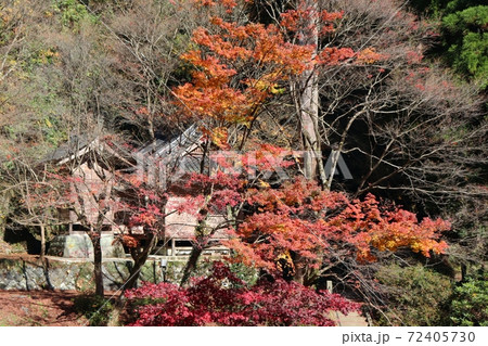 秋の八女津媛神社 秋の八女津媛神社 72405730