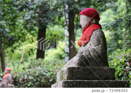 阿弥陀寺のあじさい、紫陽花寺、防府市、アジサイ祭、お地蔵、赤ずきん 阿弥陀寺のあじさい、紫陽花寺、防府市、アジサイ祭、お地蔵、赤ずきん 72406303