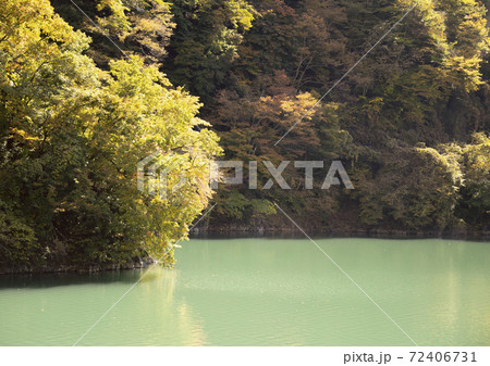 奥多摩湖岸辺 奥多摩湖岸辺 72406731