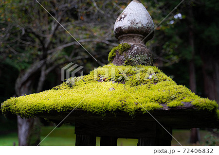 寺の中にある神秘 寺の中にある神秘 72406832