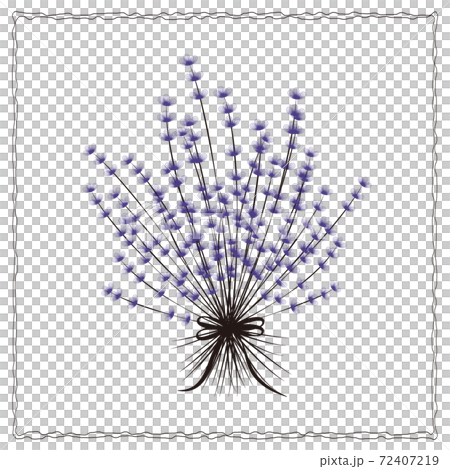 Botanical simple plant drawn in a circle Botanical simple plant drawn in a circle 72407219