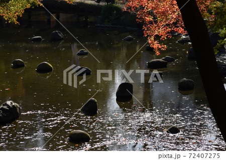 日本庭園の紅葉 日本庭園の紅葉 72407275