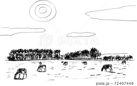 日中に数頭の牛が広い草原で草を食べている風景を描いた線画 日中に数頭の牛が広い草原で草を食べている風景を描いた線画 72407449