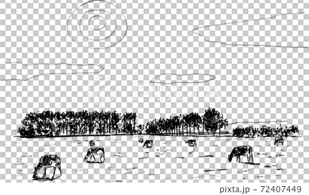 日中に数頭の牛が広い草原で草を食べている風景を描いた線画 日中に数頭の牛が広い草原で草を食べている風景を描いた線画 72407449