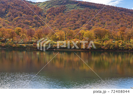 須川湖の紅葉 須川湖の紅葉 72408044