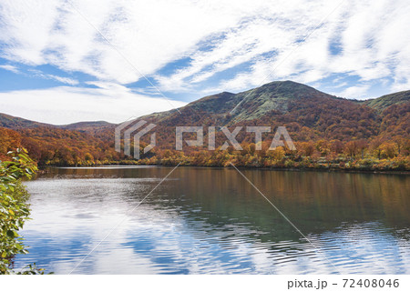 須川湖の紅葉 72408046