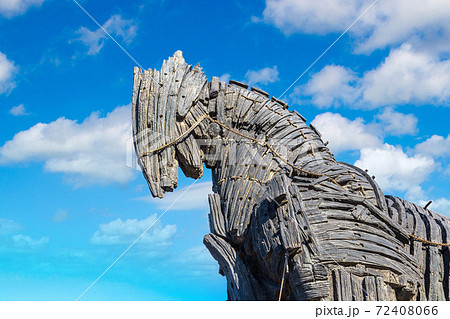 Trojan horse 72408066