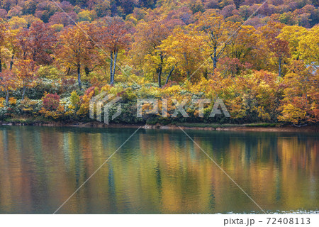 須川湖の紅葉 72408113