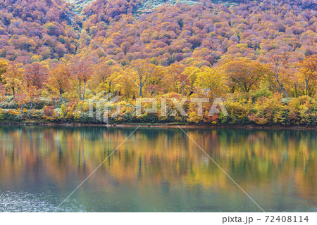 須川湖の紅葉 72408114
