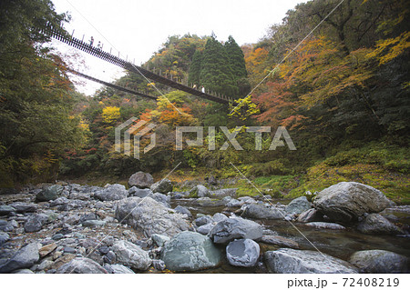 八代市泉町 樅木の吊り橋紅葉 72408219