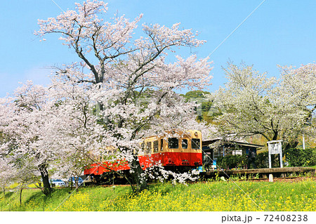 千葉県 春の小湊鉄道 千葉県 春の小湊鉄道 72408238