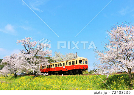 千葉県　春の小湊鉄道 72408239