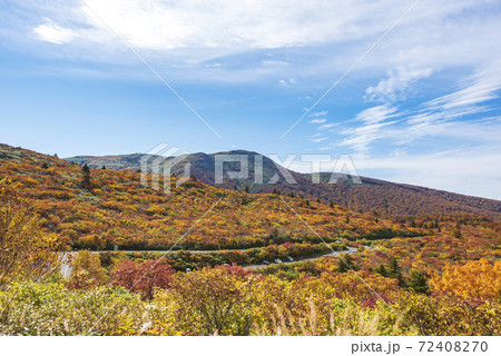 須川温泉の紅葉 72408270