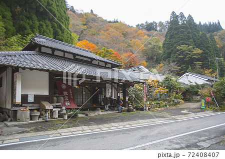 八代市泉町 樅木の吊り橋紅葉 八代市泉町 樅木の吊り橋紅葉 72408407